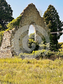 Kildare Abbey, The Grey Abbey, county Kildare, Ireland