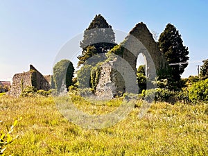 Kildare Abbey, The Grey Abbey, county Kildare, Ireland