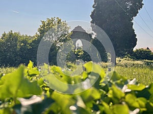 Kildare Abbey, The Grey Abbey, county Kildare, Ireland