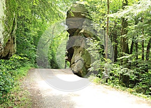 Kildo Trail - McConnells Mill State Park - Portersville, Pennsylvania