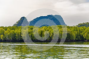 Kilim Geoforest Park, Langkawi