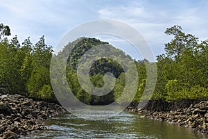 Kilim Geoforest Park, Langkawi