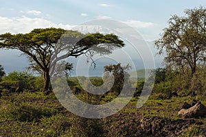 Kilimandscharo Kenia Afrika