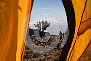 Kilimanjaro 012 view from tent