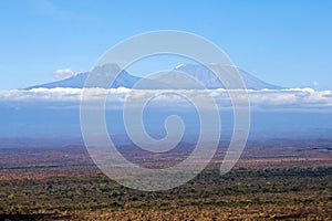 Kilimanjaro