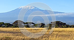 Kilimanjaro