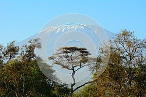 Kilimanjaro, Amboseli National Park, Kenya