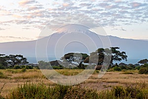 Kilimanjaro on a clear sunny day. beautiful African landscape. glacier at the top of Kilimanjaro among the clouds.