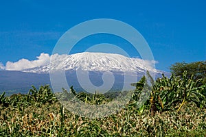 Kilimanjaro highest mountain in Africa view fron road