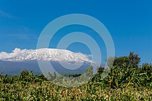 Kilimanjaro landscape
