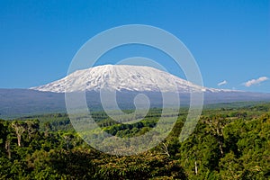 Kilimanjaro landscape