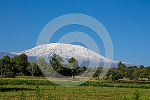 Kilimanjaro landscape