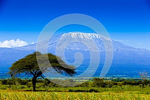 Kilimanjaro landscape photo
