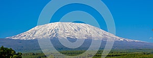 Kilimanjaro mount Kili