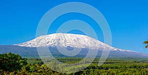 Kilimanjaro mount Kili