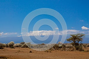 Kilimanjaro mountain, Africa, Tanzania and Kenya border Amboseli national park