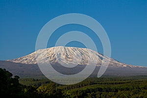 Kilimanjaro mountain, Africa, Tanzania and Kenya border Amboseli national park