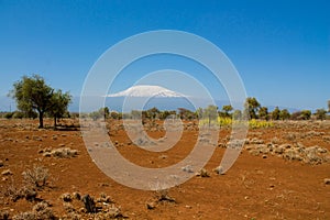 Kilimanjaro mountain, Africa, Tanzania and Kenya border Amboseli national park