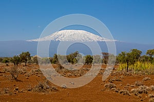 Kilimanjaro mountain, Africa, Tanzania and Kenya border Amboseli national park