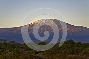 Kilimanjaro Mountain Morning Tanzania Kenya Africa