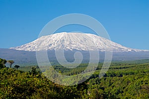 Kilimanjaro mountain panoramic view