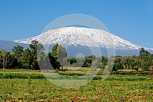 Kilimanjaro mountain summit with snow in Africa