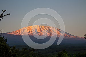 Kilimanjaro mountain at sunset