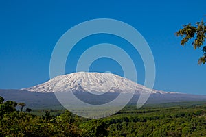 Kilimanjaro mountain at sunset