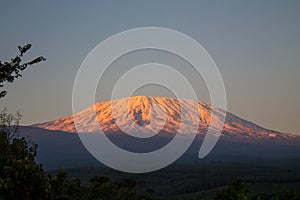 Kilimanjaro mountain at sunset