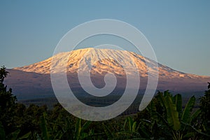 Kilimanjaro mountain at sunset