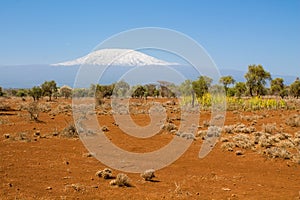 Kilimanjaro mountain in Tanzania, Africa