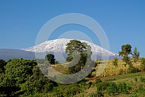 Kilimanjaro mountain in Tanzania, Africa