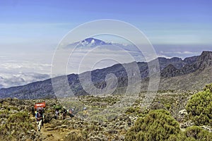 kilimanjaro national park landscape view to mount Meru