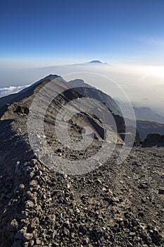 Kilimanjaro views.