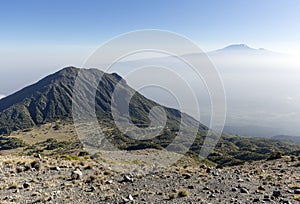 Kilimanjaro views.