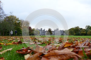 Kilkenny Castle view from the Garden with Leafs on the Grass, Ireland