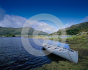 KILLARNEY NATIONAL PARK, IRELAND