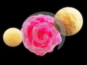 Killer cell attacking cancer