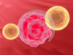 Killer cell attacking cancer