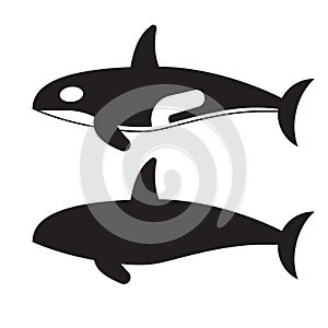 Killer Orca Whale Icon