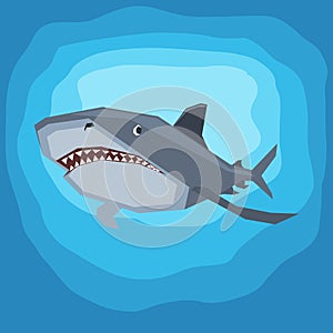 Killer shark illustration