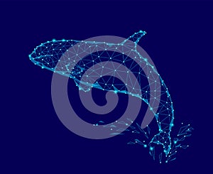 Killer whale 3d polygonal triangle model. Underwater sea wild danger monster. Glowing blue connected dots wire mesh logo