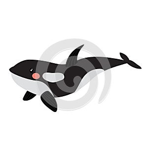 Killer whale animal cartoon character vector illustration