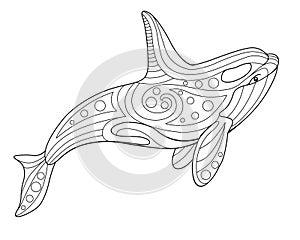 Killer whale - antistress coloring book - vector linear picture on the marine theme. Picture for coloring book - orca