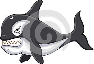 Killer whale cartoon