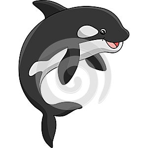 Killer Whale Cartoon Colored Clipart Illustration