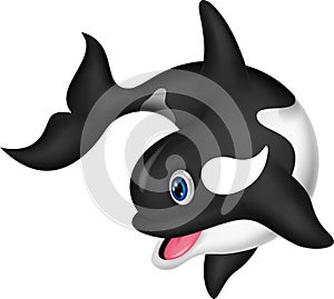 Killer whale cartoon