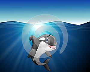 Killer whale cartoon on the sea