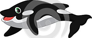 Killer whale cartoon