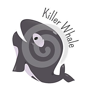 Killer whale . Child fun icon.